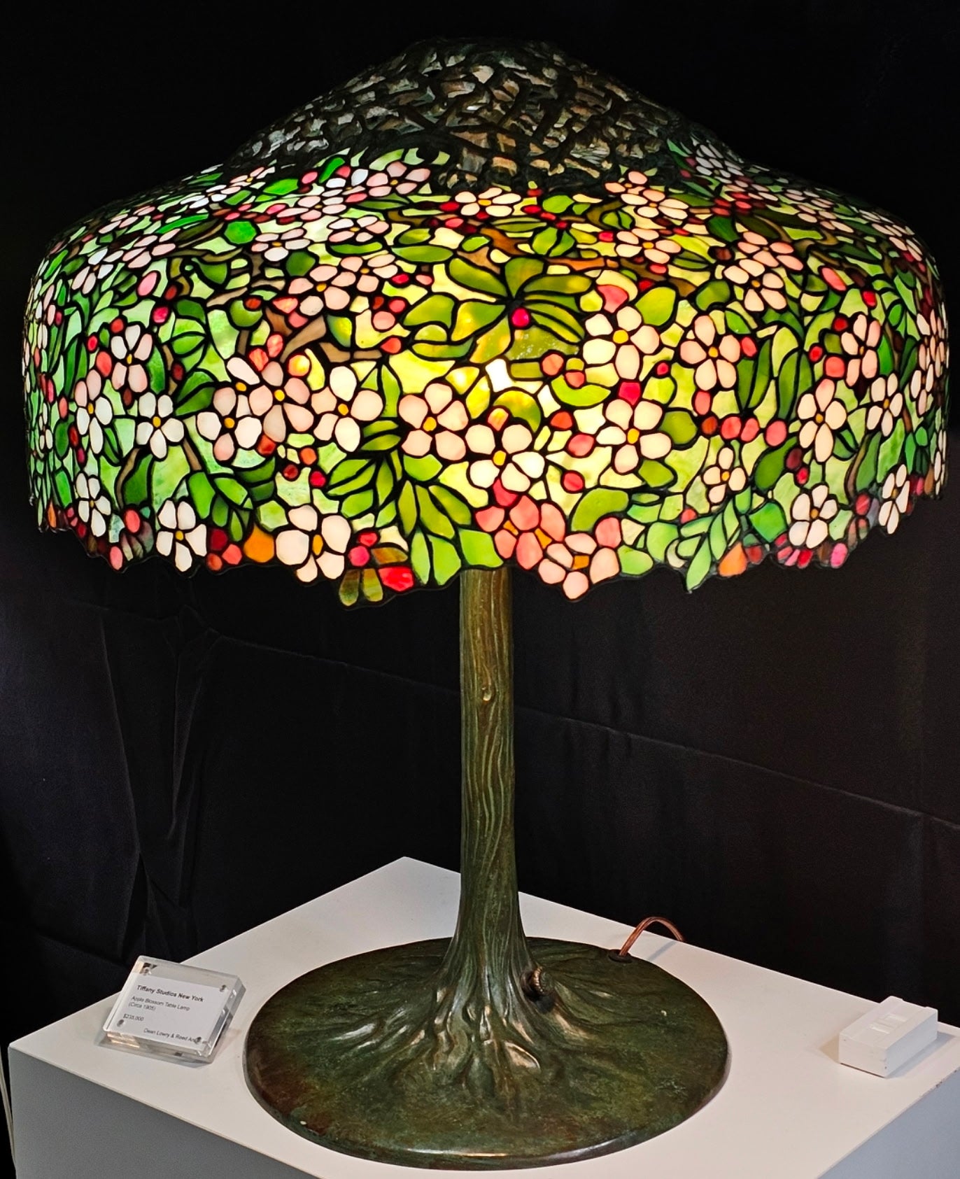 Tiffany Studios Apple Blossom Lamp